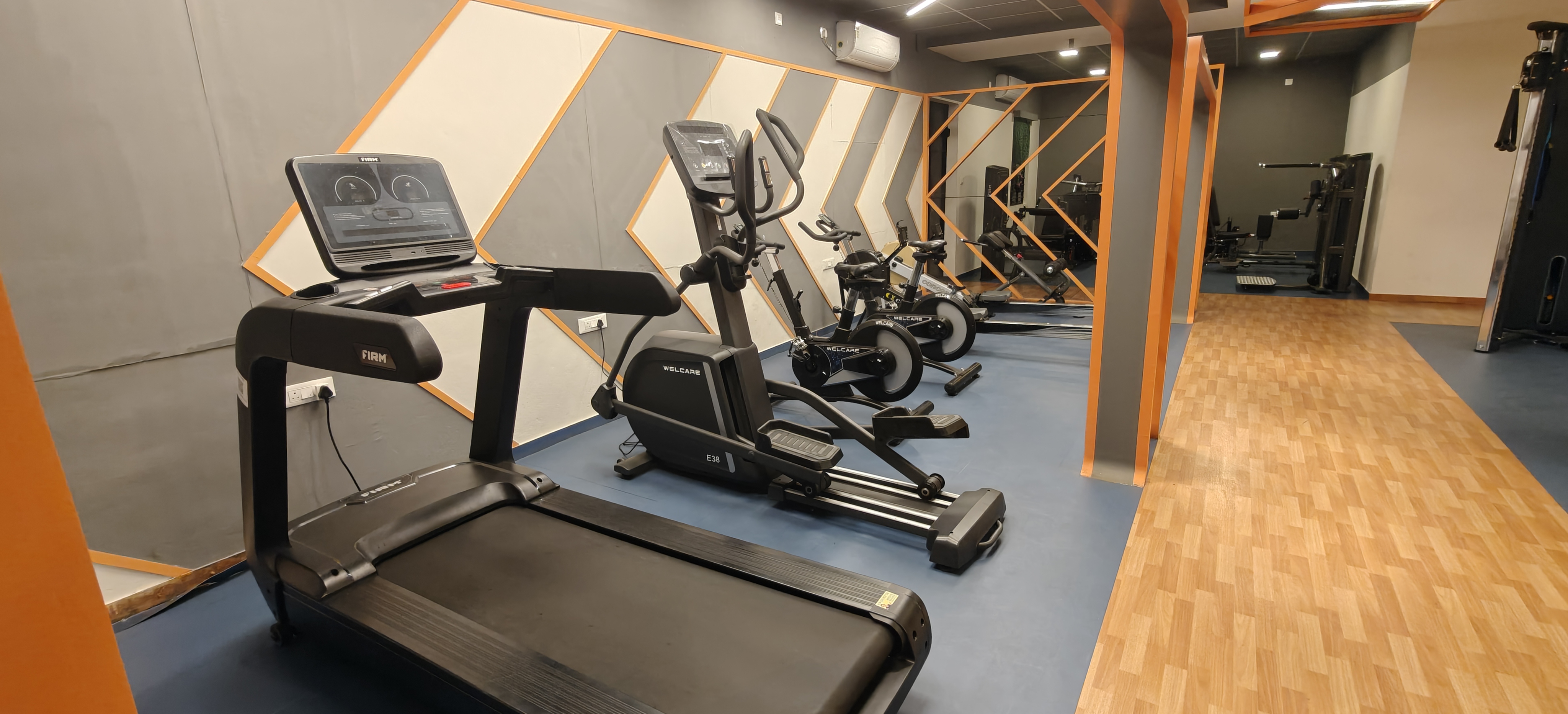 365Fit weights section
